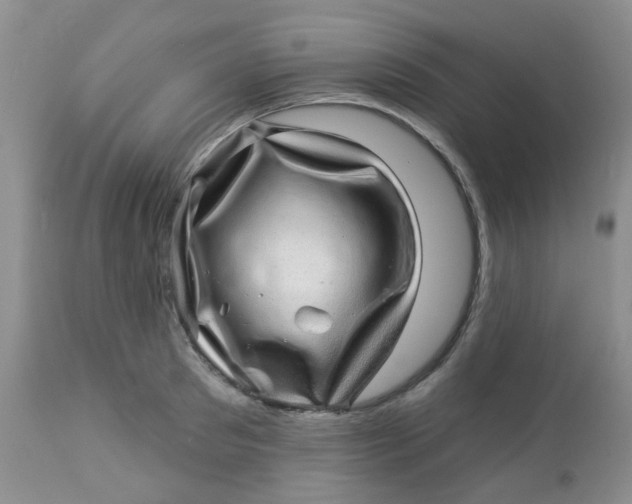 X0000113570897200910091436