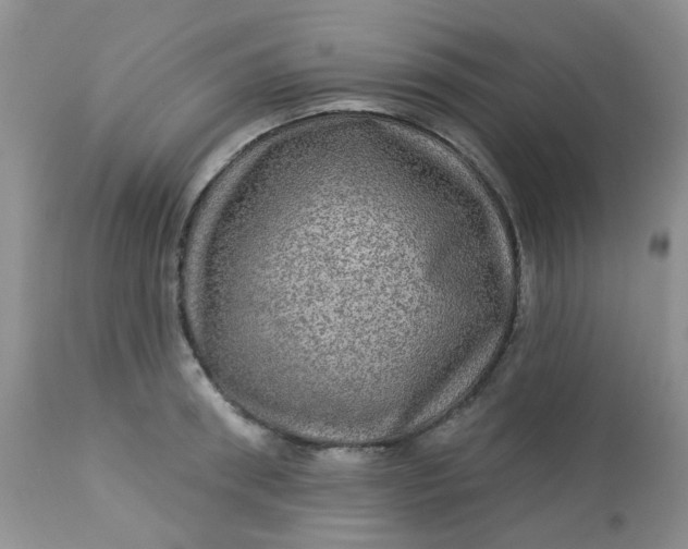 X0000113570898200910091436