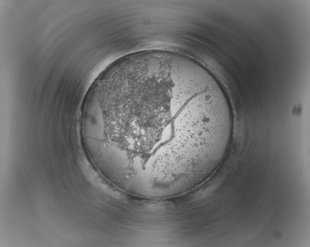 X0000113570899200910091436