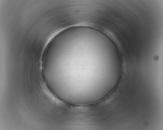 X0000113570900200910091436