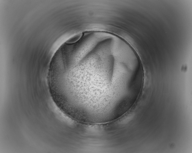 X0000113570901200910091436