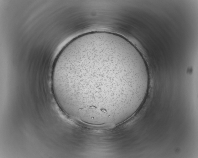 X0000113570904200910091436