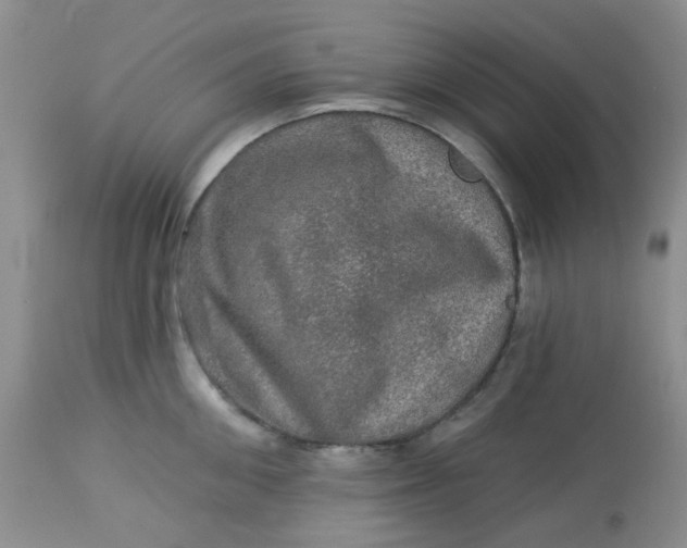 X0000113570906200910091436