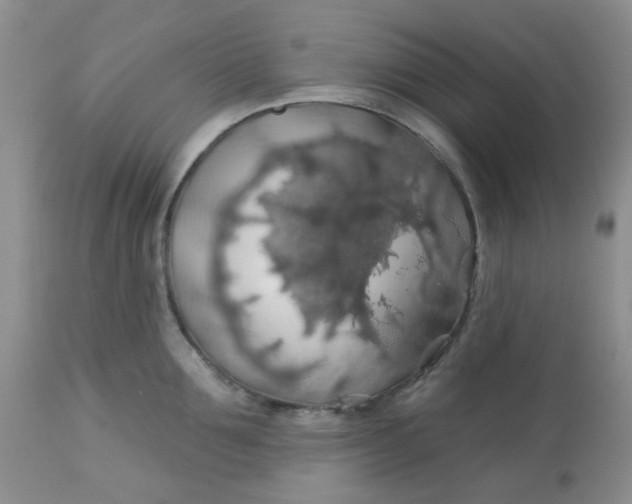 X0000113570907200910091436