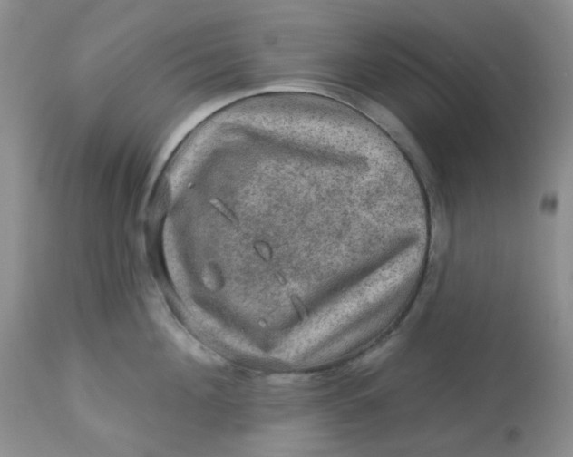 X0000113570908200910091436