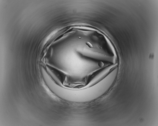 X0000113570909200910091436