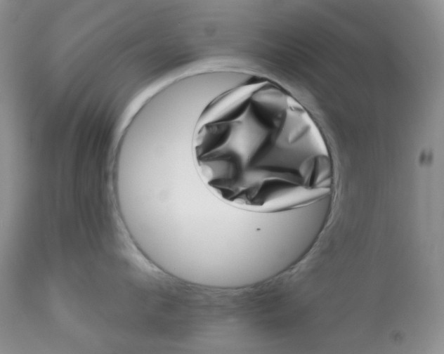 X0000113570912200910091436