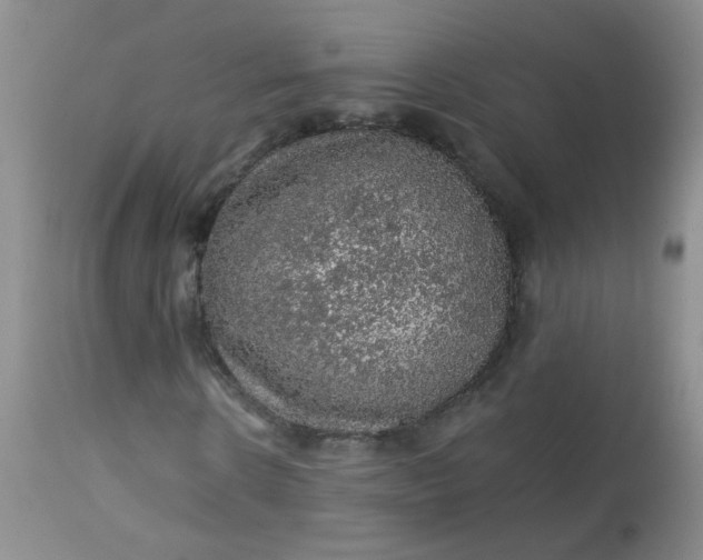 X0000113570914200910091435