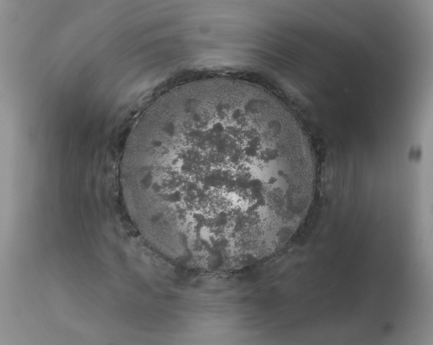 X0000113570917200910091435