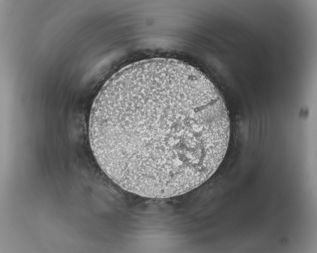 X0000113570918200910091435