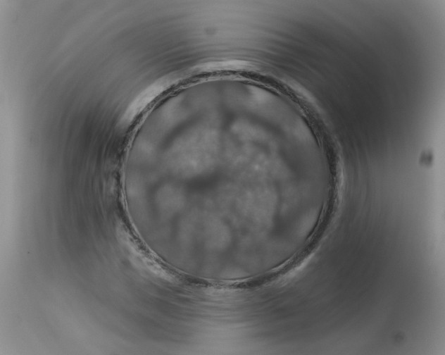 X0000113570921200910091435