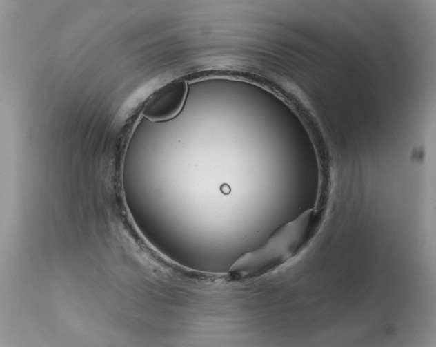 X0000113570922200910091435