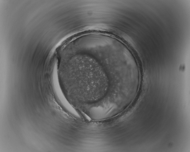 X0000113570923200910091435