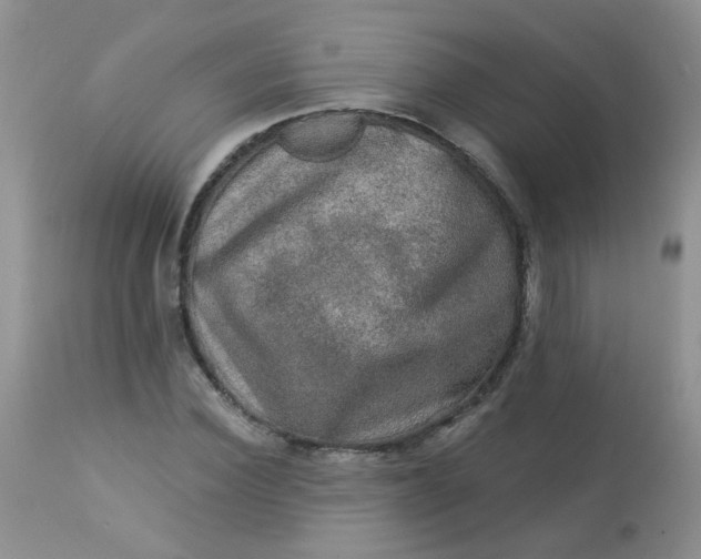 X0000113570924200910091435