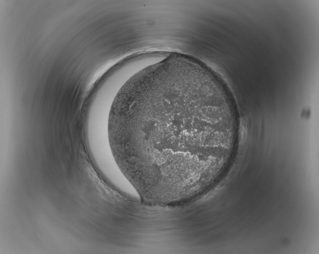 X0000113570925200910091435