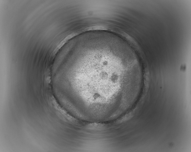 X0000113570929200910091435