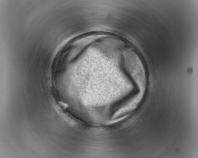 X0000113570931200910091435