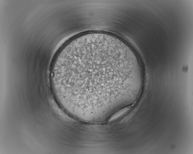 X0000113570932200910091435