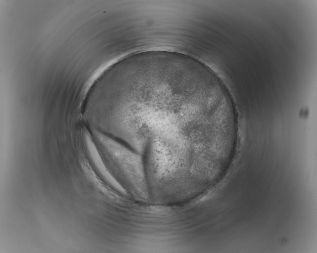 X0000113570933200910091435