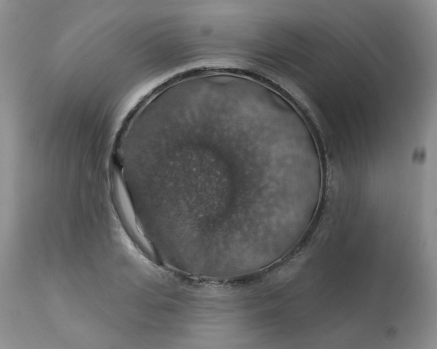 X0000113570935200910091435