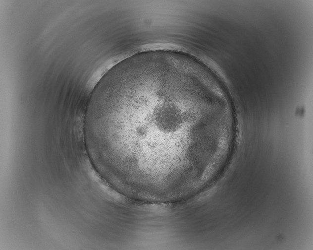 X0000113570937200910091435