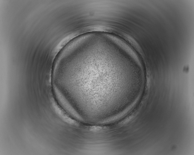 X0000113570938200910091435