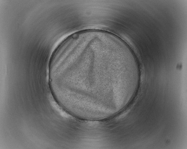 X0000113570940200910091435