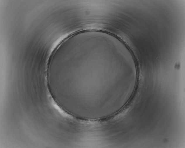 X0000113570941200910091435