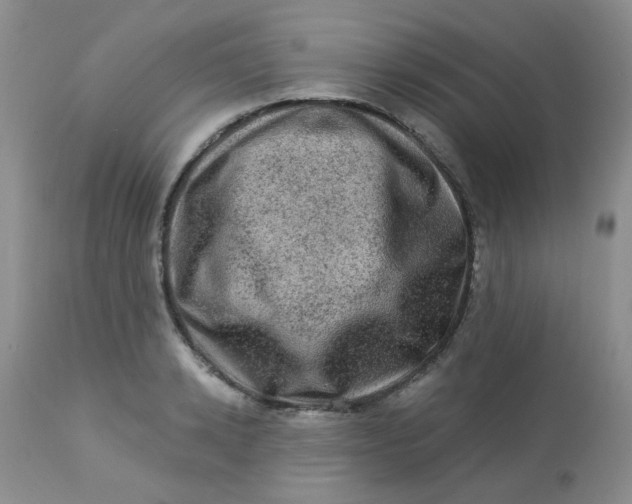 X0000113570942200910091435