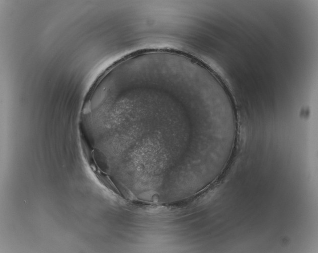 X0000113570943200910091435