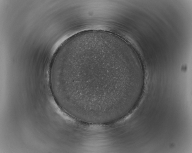 X0000113570944200910091435