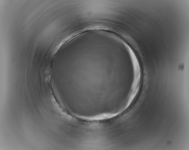 X0000113570945200910091435