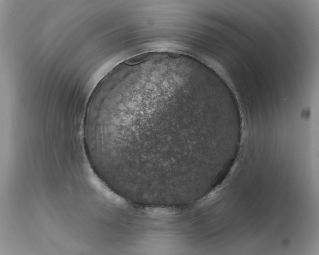 X0000113570946200910091435