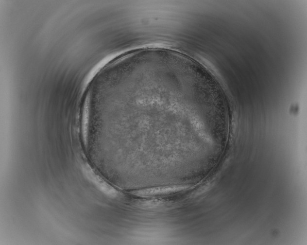 X0000113570948200910091435