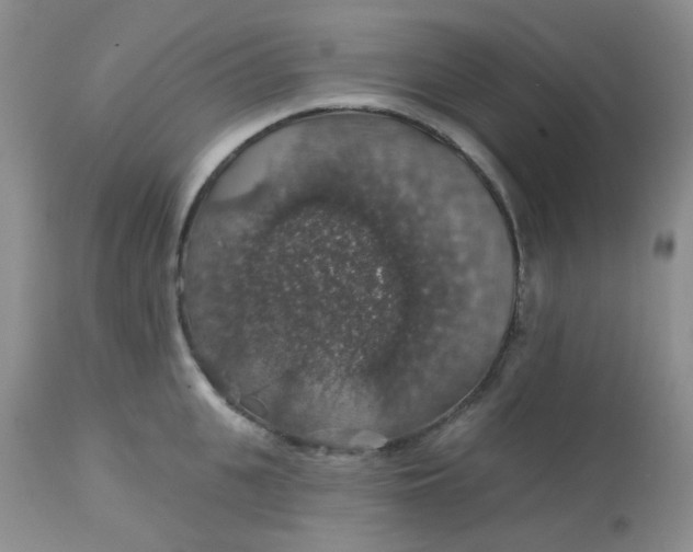 X0000113570951200910091435