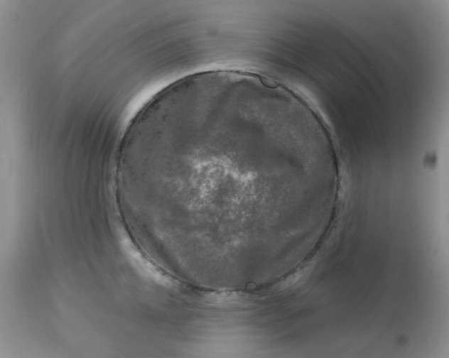 X0000113570952200910091435