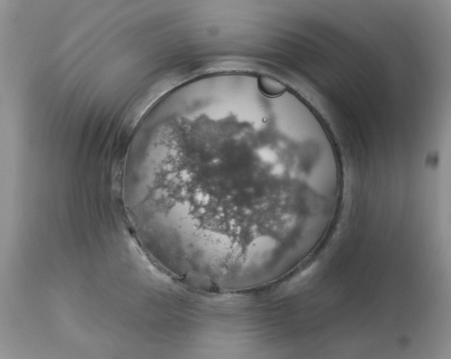 X0000113570953200910091435