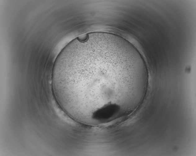 X0000113570954200910091435