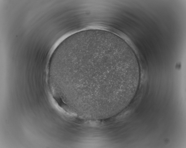 X0000113570955200910091435