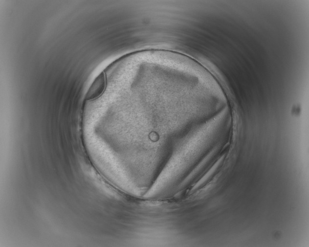 X0000113570956200910091435