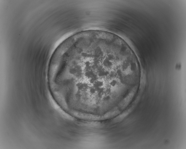 X0000113570957200910091435