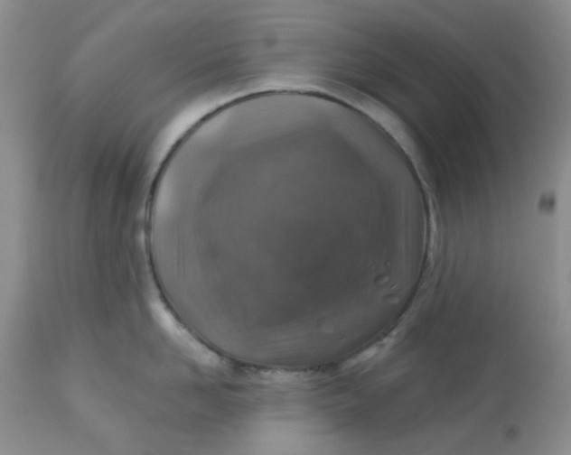 X0000113570958200910091435