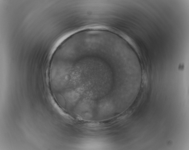 X0000113570959200910091435