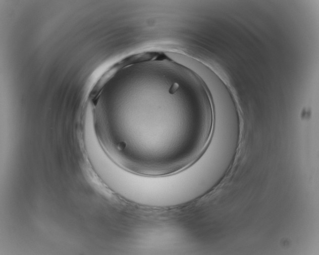 X0000113570960200910091435