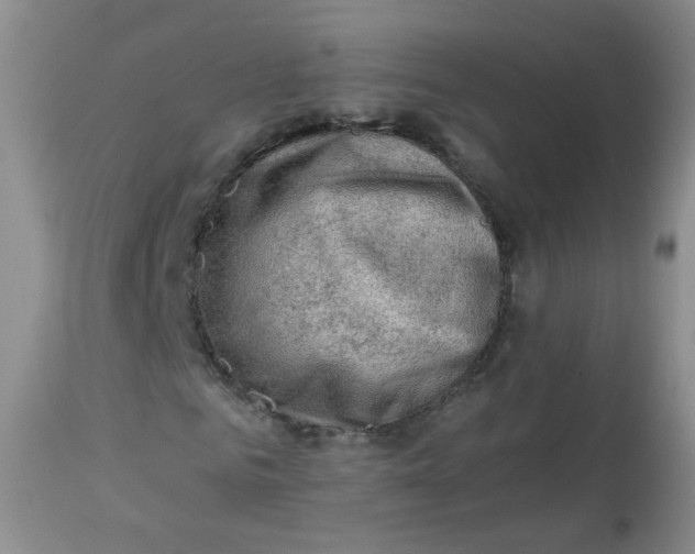 X0000113570961200910091435