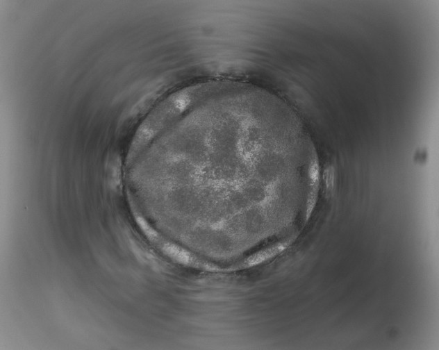 X0000113570963200910091435