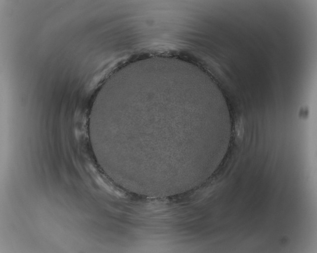 X0000113570964200910091435