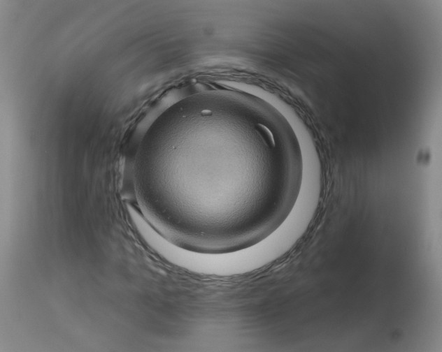 X0000113570965200910091435