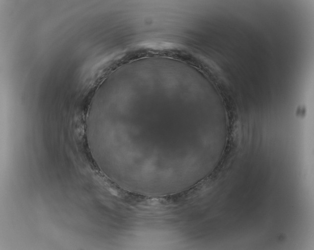 X0000113570966200910091435