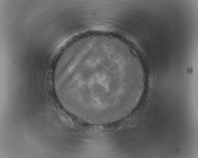 X0000113570968200910091435